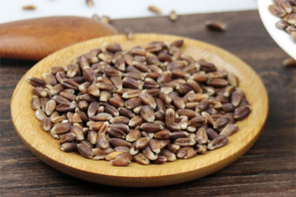 在標(biāo)準(zhǔn)光源條件下鑒別小麥種皮的顏色