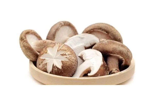 香菇的顏色分類，選用標(biāo)準(zhǔn)光源箱